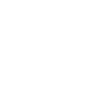 Logo Birdb White Icon